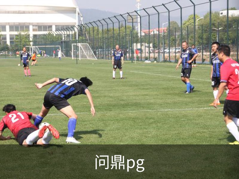 关于问鼎pg